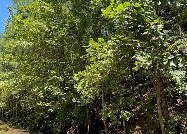 Property at 3.98 Acres Whitestone Dr, Talking Rock, GA 30175
