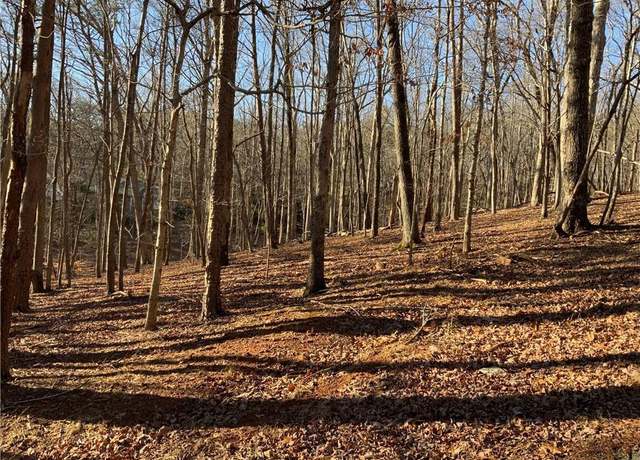 Property at 0 Oak Ridge Ct, Jasper, GA 30143