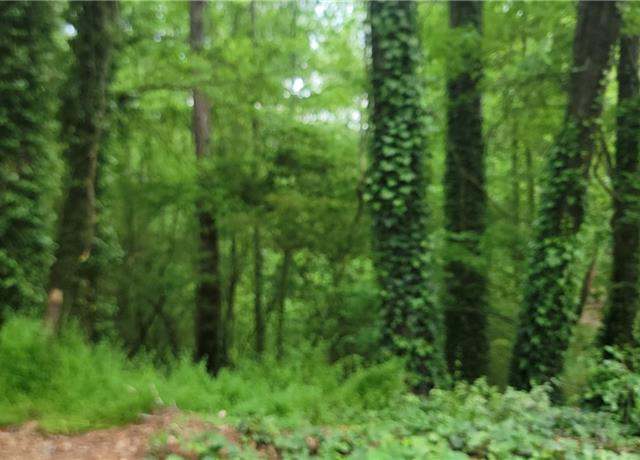 Property at 0 Shadowbrook Dr, Acworth, GA 30102