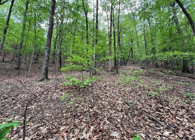 Property at 387 Windflower Dr, Big Canoe, GA 30143