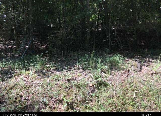 Property at 181 Poolside Ct, Ellijay, GA 30540