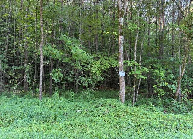 Property at 0 W Price Creek Rd, Talking Rock, GA 30175