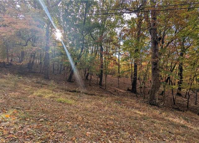 Property at 0 Oglethorpe Mountain Rd, Jasper, GA 30143
