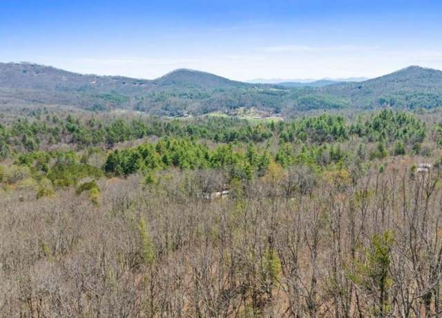 Property at 40A Synacia Rd, Mineral Bluff, GA 30559
