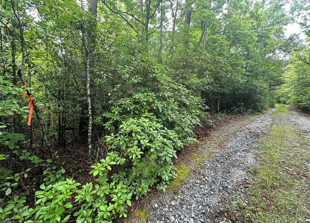 Property at 0 Loblolly Dr, Sautee Nacoochee, GA 30571