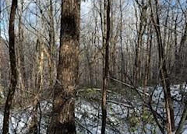Property at 19N Fox Run Ln, Jasper, GA 30143