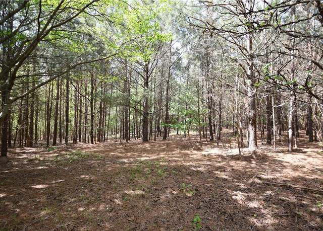 Property at 00001 Mt View Rd, Buchanan, GA 30113