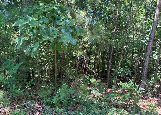 Property at 189 Hopewell Dr, Ranger, GA 30734