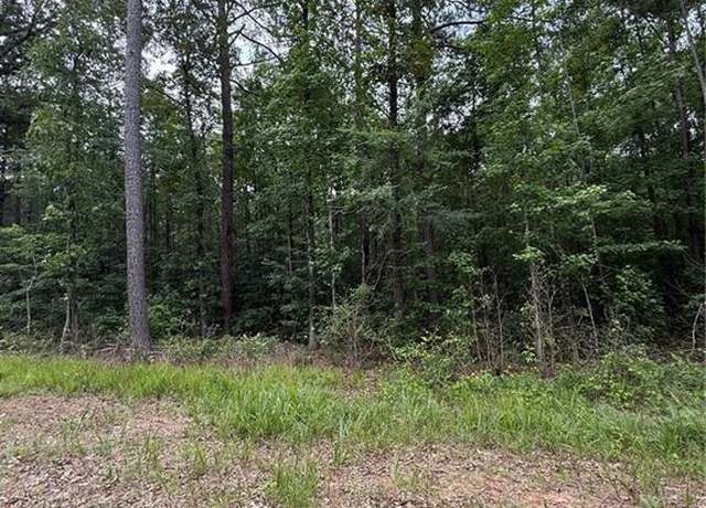 Property at 00 Smokey Rd, Newnan, GA 30263