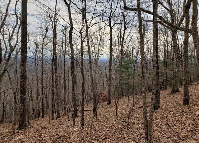 Property at 8242 Cox Mountain Dr, Big Canoe, GA 30143