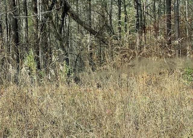 Property at 0 Armstrong Dr, Mansfield, GA 30055