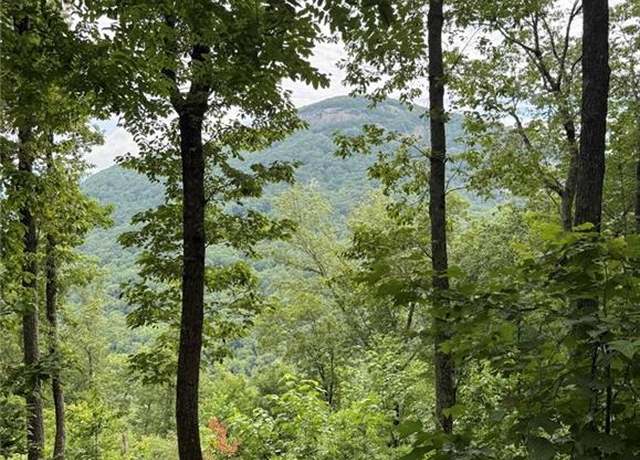 Property at M23 Mountainside Dr, Cleveland, GA 30528
