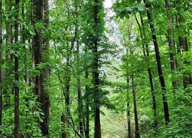 Property at 2760 Kesler Rd, Carnesville, GA 30521