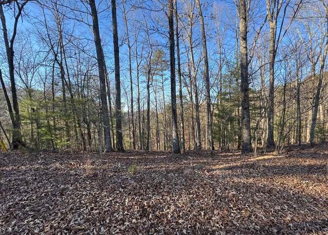 Property at 0 Rebekah Ridge Lot 1710, Talking Rock, GA 30175