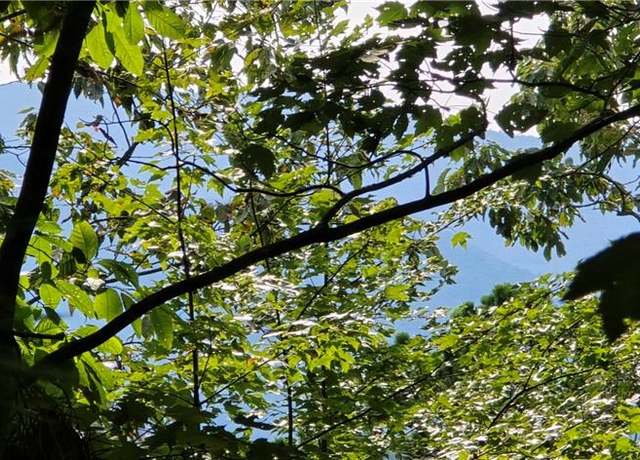 Property at Lot 17 Abbott Mill Rd, Ellijay, GA 30540
