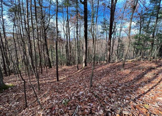 Property at J214 Walnut Mountain Rd, Ellijay, GA 30536