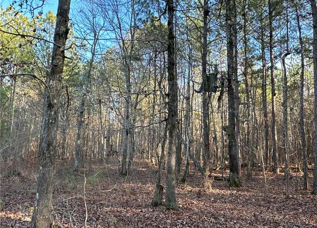 Property at 0 Buttermilk Rd, Cave Spring, GA 30124