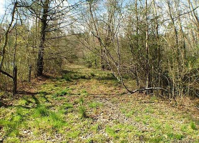 Property at 0 Doublehead Gap Rd, Blue Ridge, GA 30513
