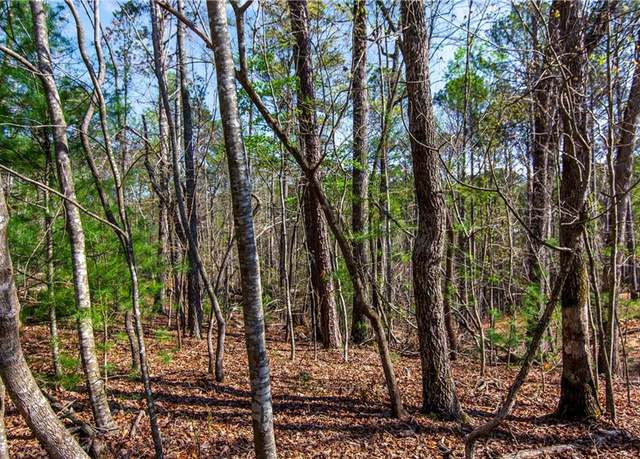 Property at 1.02 Monitor Dr, Ellijay, GA 30540