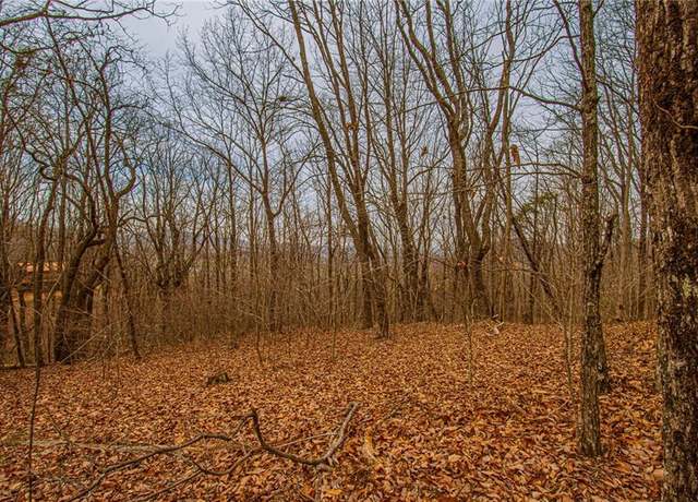 Property at 0 Long Mountain Rd, Cleveland, GA 30528