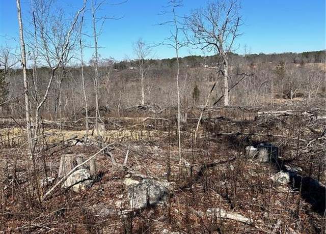 Property at 00000 Satcher Rd, Taylorsville, GA 30178