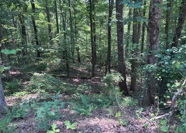 Property at 10090 Brazell Rd, Chattahoochee Hills, GA 30213
