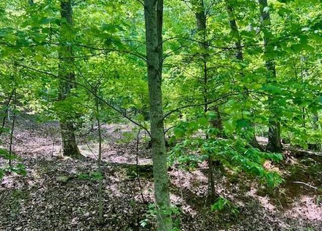 Property at 220 Yanegwa Knl, Dawsonville, GA 30534