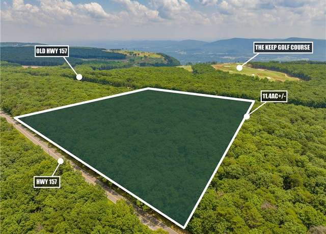Property at 0 157 Highway GA, Menlo, GA 30731