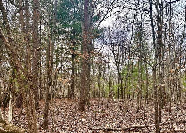 Property at 780 Nettle Ln, Ranger, GA 30734