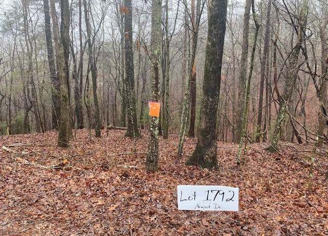 Property at 3190 Newport Dr, East Ellijay, GA 30540