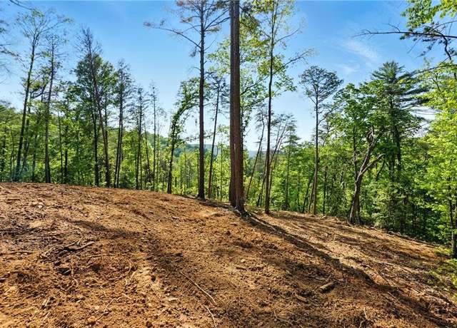 Property at 0 Dell Moore Rd, Marble Hill, GA 30148