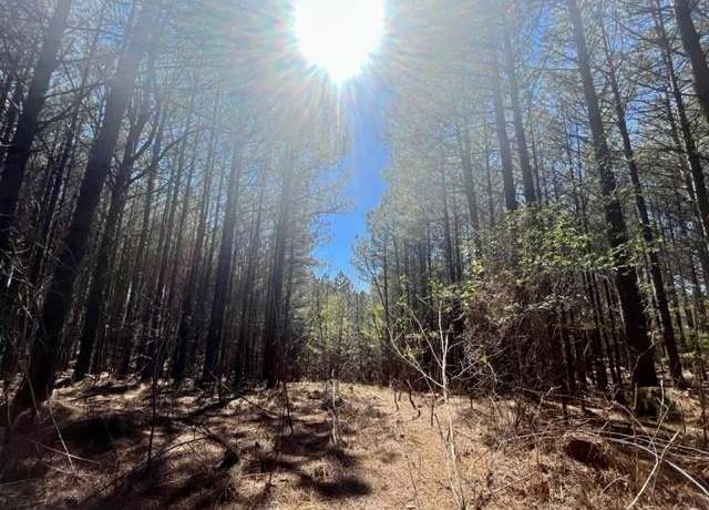 Property at 0 Fox Paw Leaf Ln, Ellijay, GA 30536