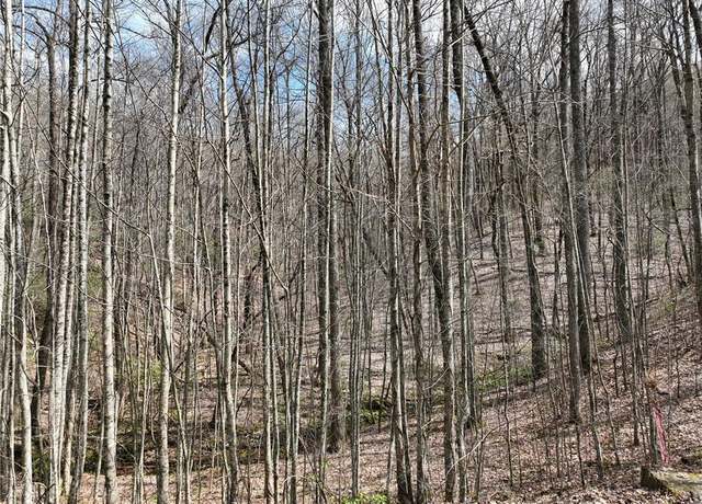 Property at 64 St Andrews Way, Ellijay, GA 30536