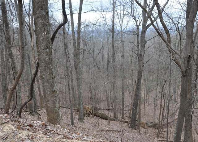 Property at 3012 Wild Turkey Blf, Big Canoe, GA 30143
