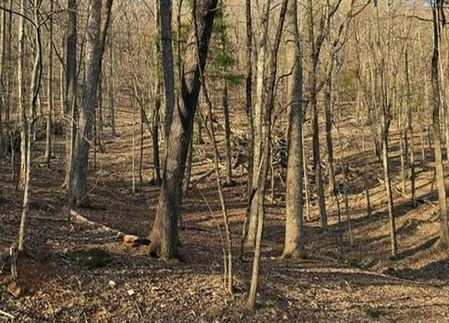 Property at 210 Windflower Dr, Big Canoe, GA 30143