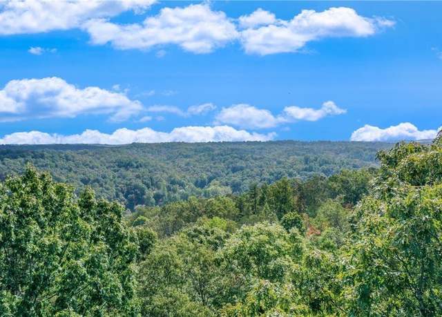 Property at 1042 A Bruin Ct, Dahlonega, GA 30533, 4 beds, 3.5 baths