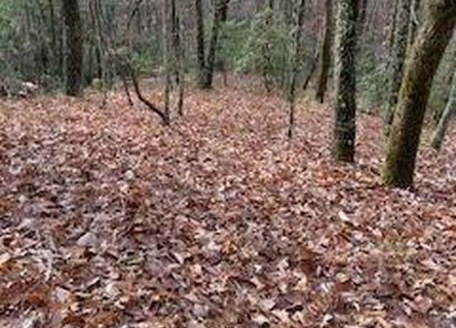 Property at 0 Pippin Cir, Clarkesville, GA 30523