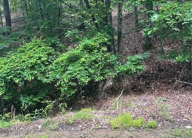 Property at 118 Morning Star Dr, Waleska, GA 30183