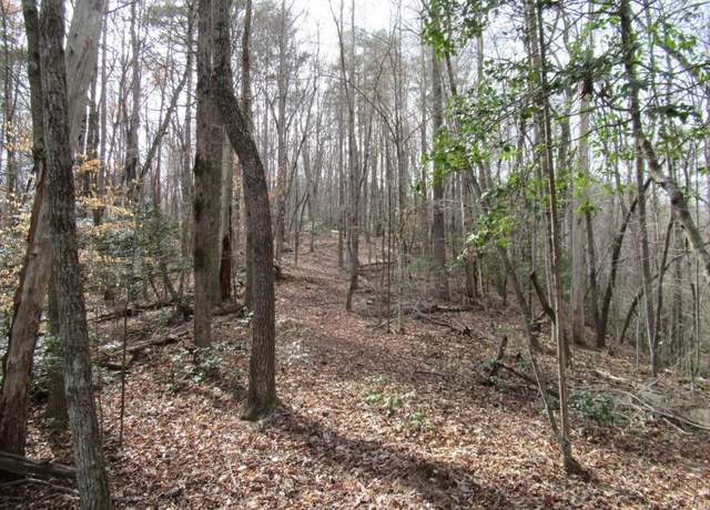 Property at 00 Long Branch Rd, Dahlonega, GA 30533