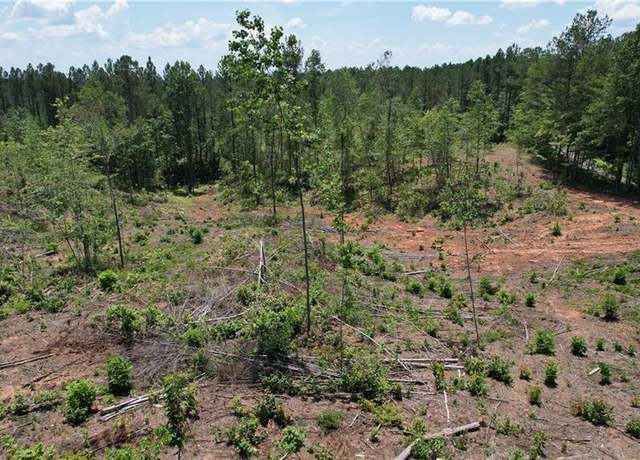 Property at 00 Little Mtn, Dawsonville, GA 30534
