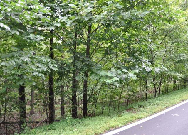 Property at 3461 Wild Pansy Rdg, Big Canoe, GA 30143