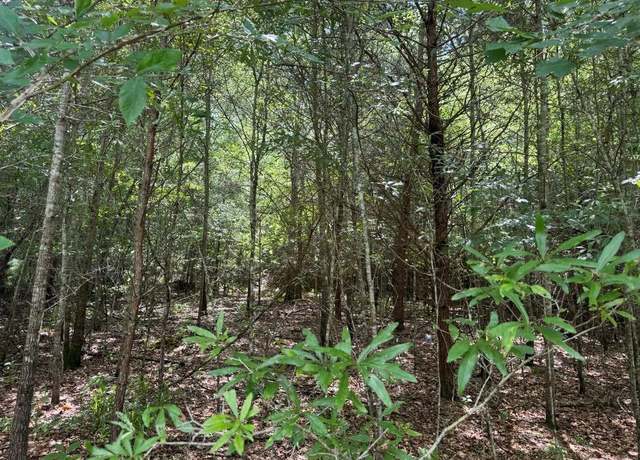 Property at 0 Meadow Ln, Talking Rock, GA 30175