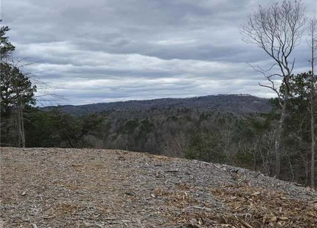 Property at Undisclosed address, Talking Rock, GA 30175