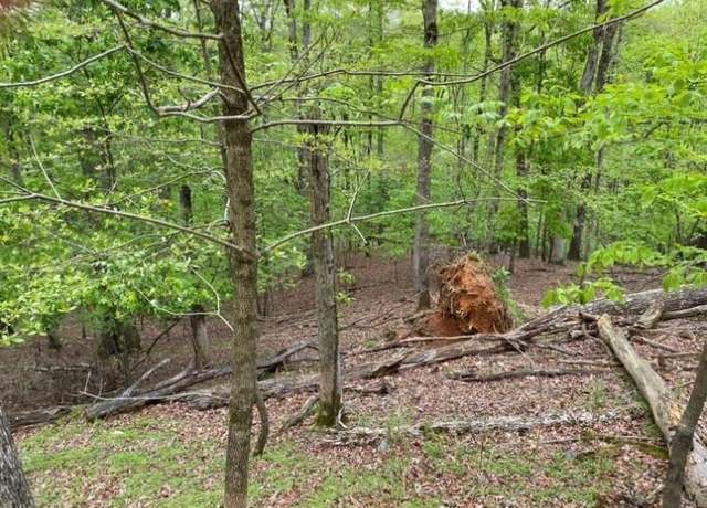 Property at 319 Zenith Trl, Ellijay, GA 30540