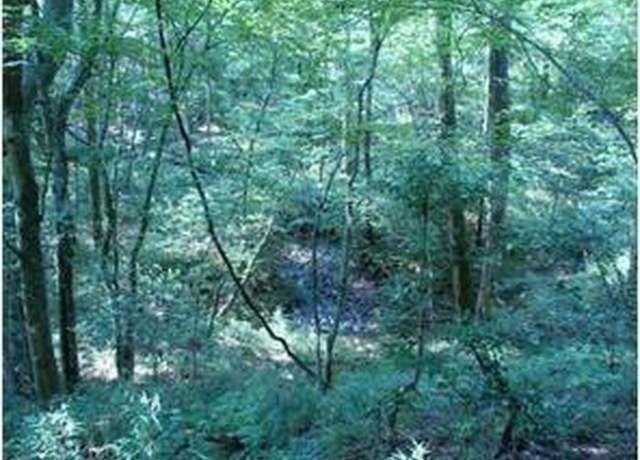 Property at 31 Valhalla Dr, Cleveland, GA 30528