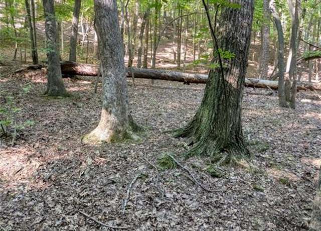 Property at 90 Cardinal Cv, Big Canoe, GA 30143