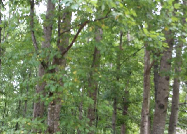 Property at 243 Lakeview Ter, Dallas, GA 30132