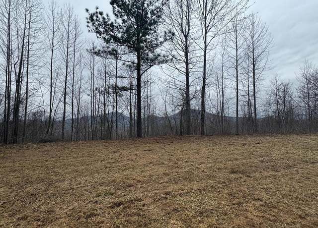 Property at Lot 10 Chatuge Mnr, Young Harris, GA 30582
