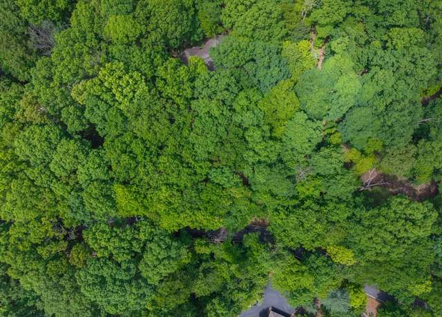 Property at 8116 Disharoon Dr, Big Canoe, GA 30143
