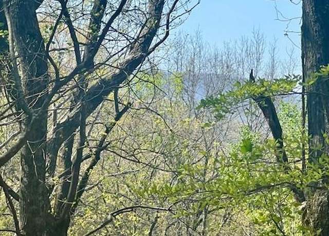 Property at 450 Wild Turkey Blf, Jasper, GA 30143
